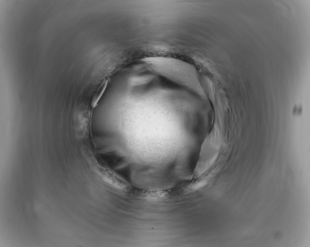 X0000090480576200707272321