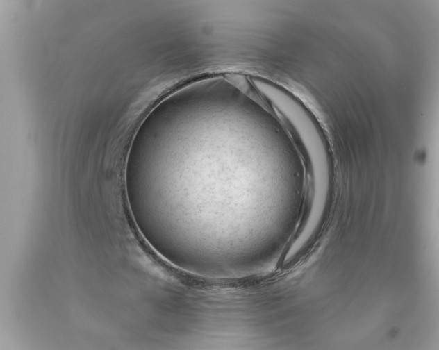 X0000090480577200707272321