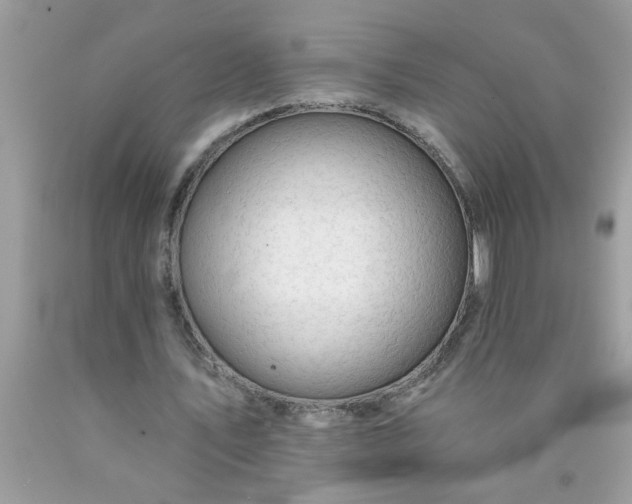 X0000090480579200707272321