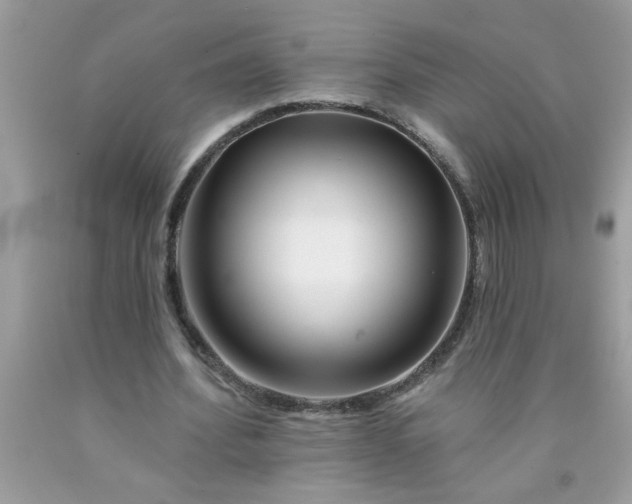 X0000090480580200707272321