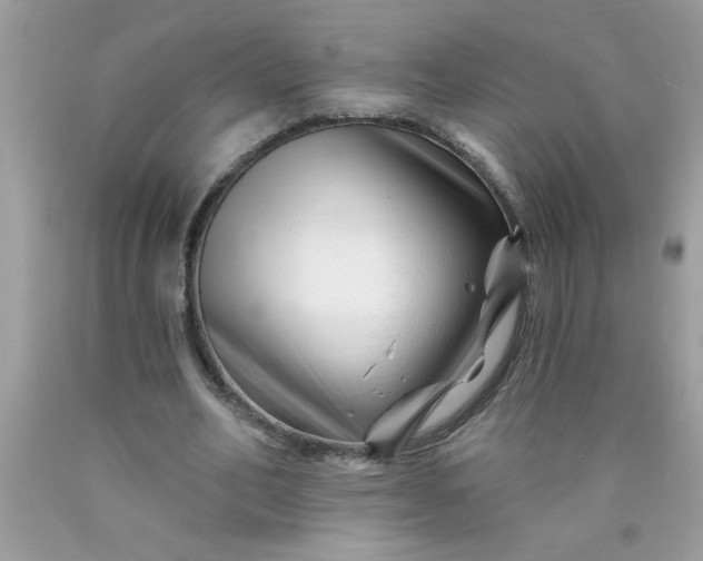 X0000090480582200707272321