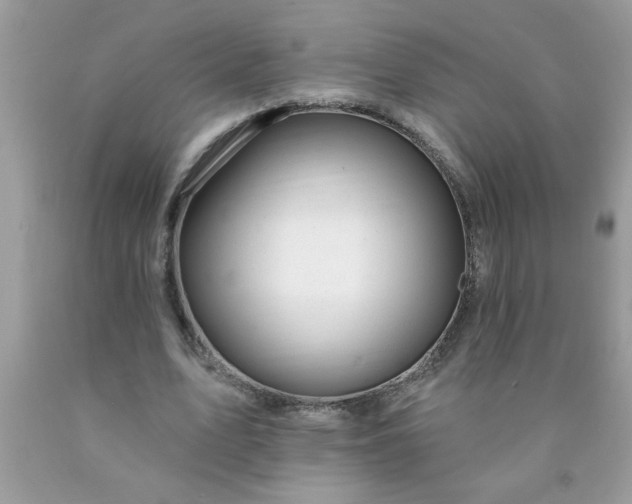 X0000090480583200707272321