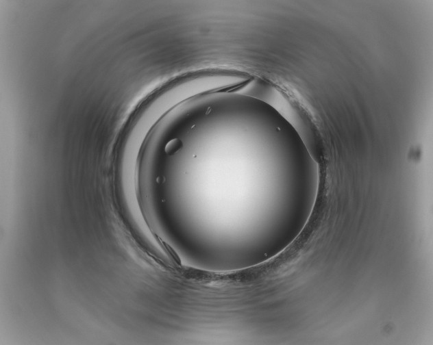 X0000090480584200707272321