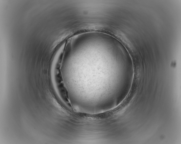 X0000090480585200707272321