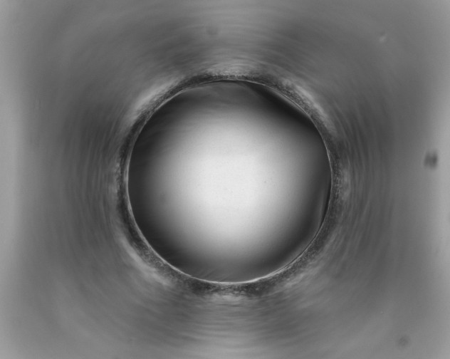 X0000090480586200707272321