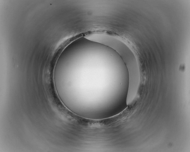 X0000090480587200707272321