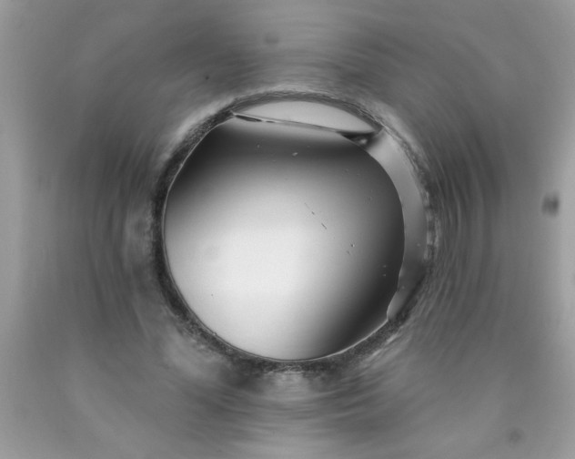 X0000090480588200707272321