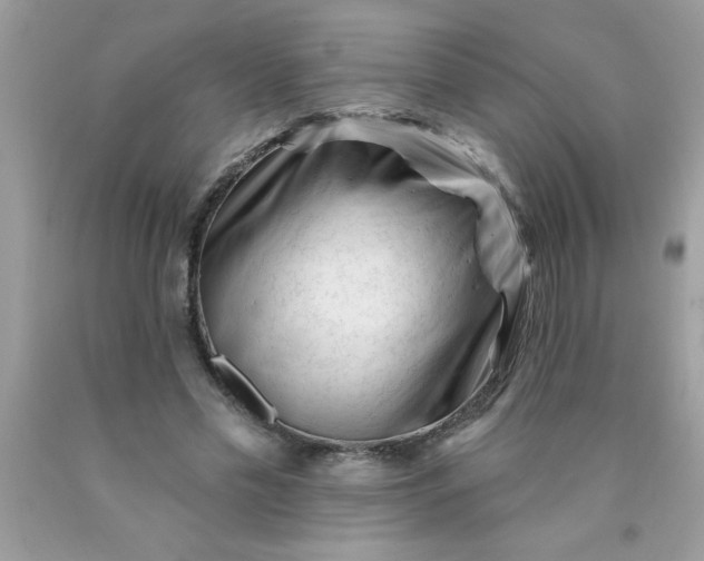 X0000090480589200707272321