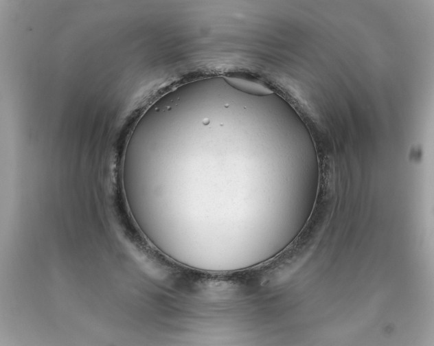 X0000090480590200707272321