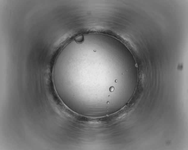 X0000090480591200707272321