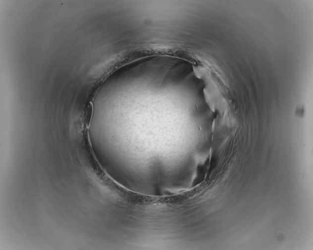 X0000090480593200707272321