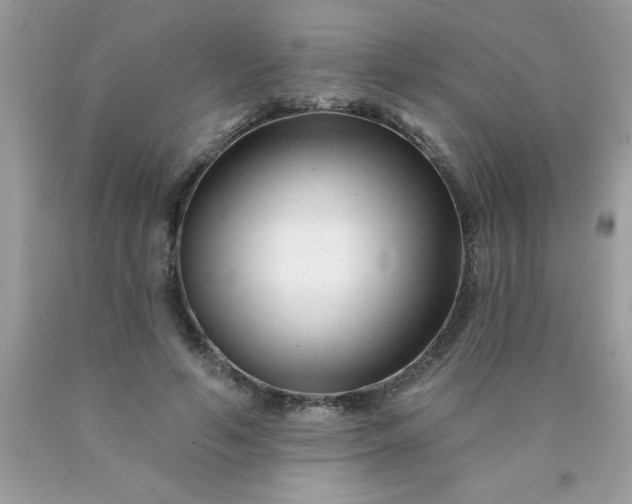X0000090480594200707272321