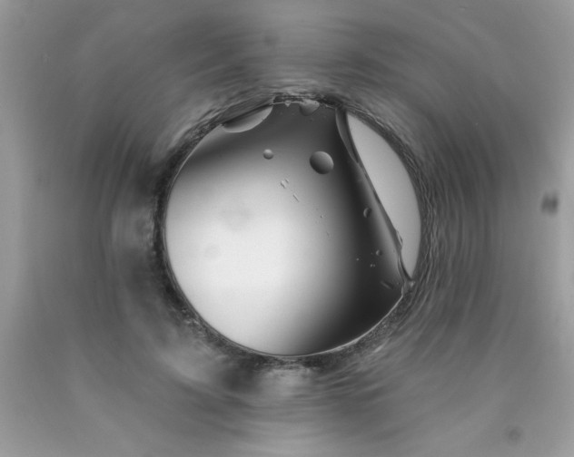 X0000090480595200707272321