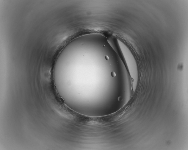 X0000090480596200707272321