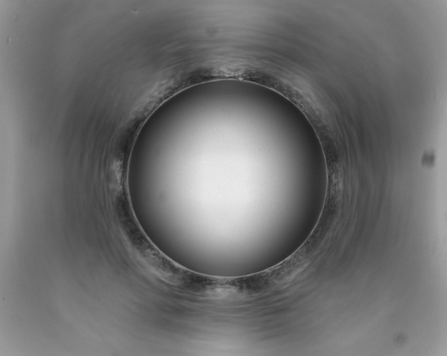 X0000090480598200707272320