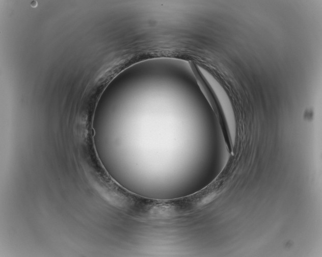 X0000090480599200707272320