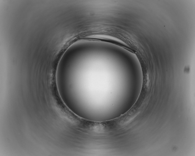 X0000090480600200707272320