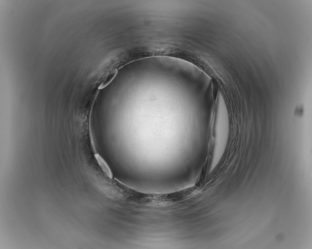 X0000090480601200707272320