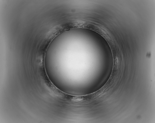 X0000090480602200707272320