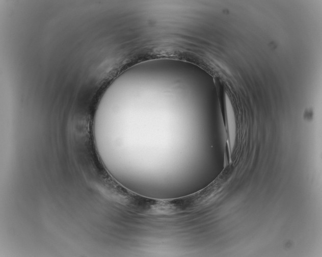 X0000090480603200707272320