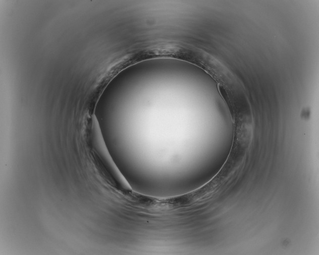 X0000090480604200707272320