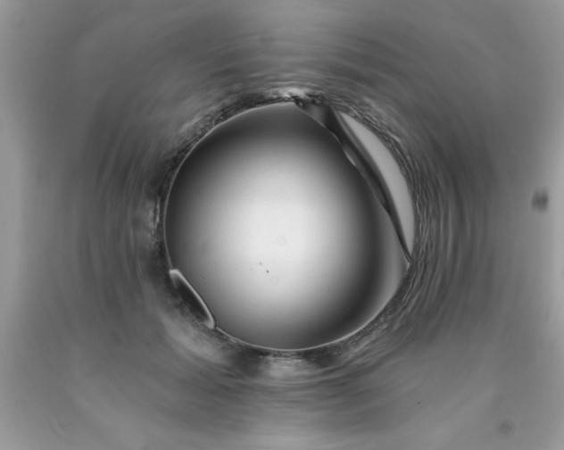 X0000090480605200707272320