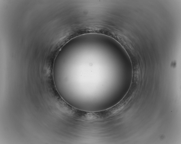 X0000090480608200707272320