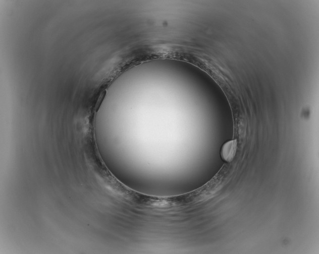 X0000090480611200707272320