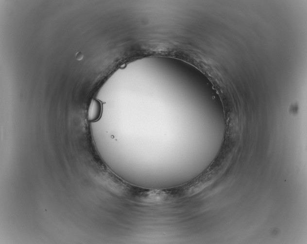 X0000090480612200707272320