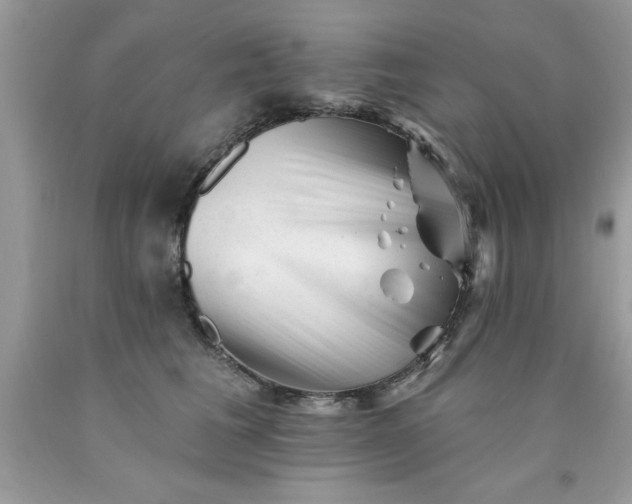 X0000090480613200707272320