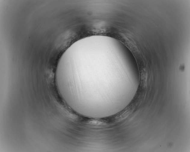 X0000090480614200707272320