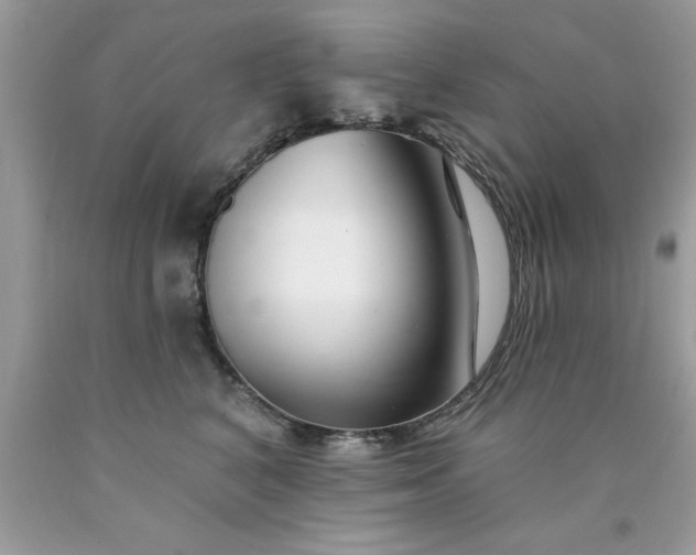 X0000090480616200707272320