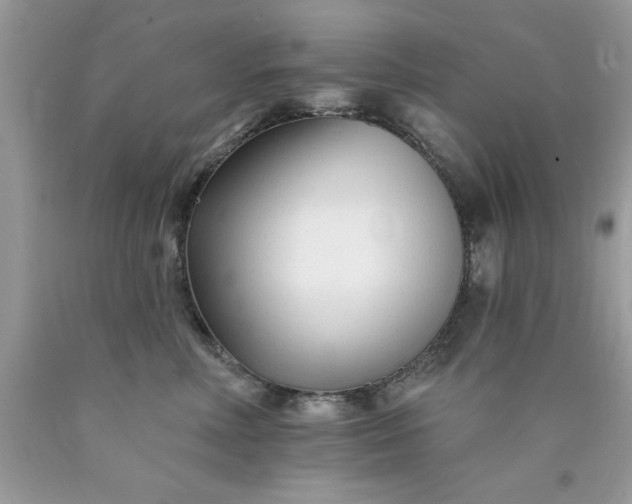 X0000090480618200707272320