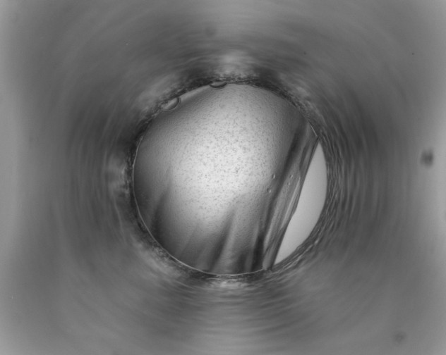 X0000090480619200707272320