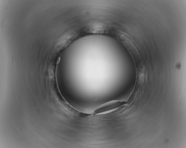 X0000090480620200707272320