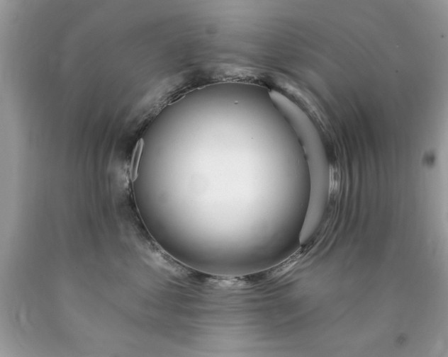 X0000090480621200707272320