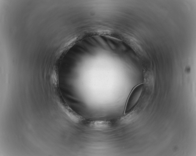 X0000090480622200707272320