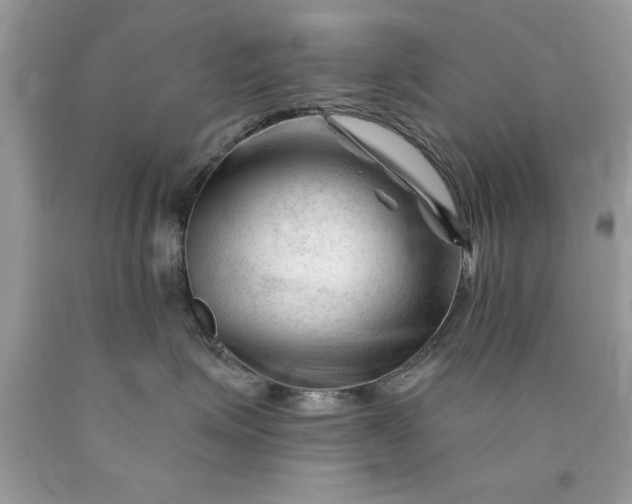 X0000090480623200707272320