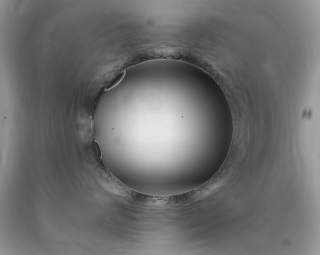 X0000090480624200707272320