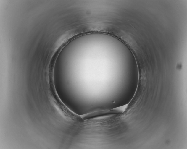 X0000090480626200707272319