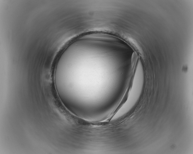 X0000090480628200707272319