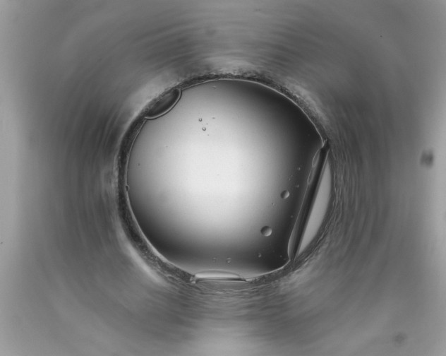 X0000090480630200707272319