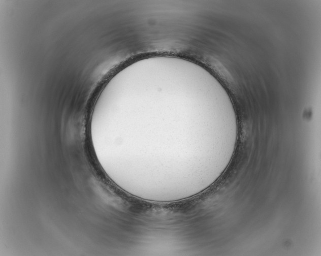 X0000090480632200707272319