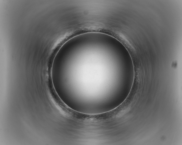 X0000090480634200707272319