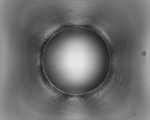 X0000090480635200707272319