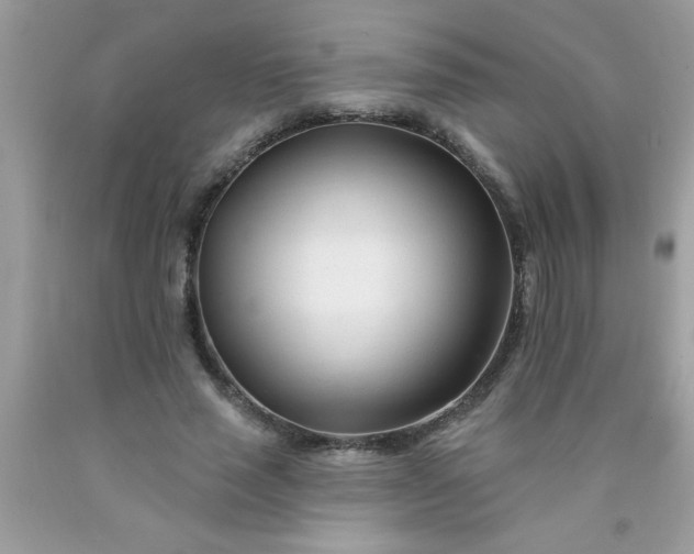 X0000090480637200707272319