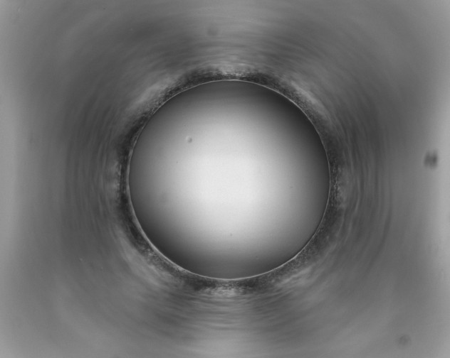 X0000090480639200707272319