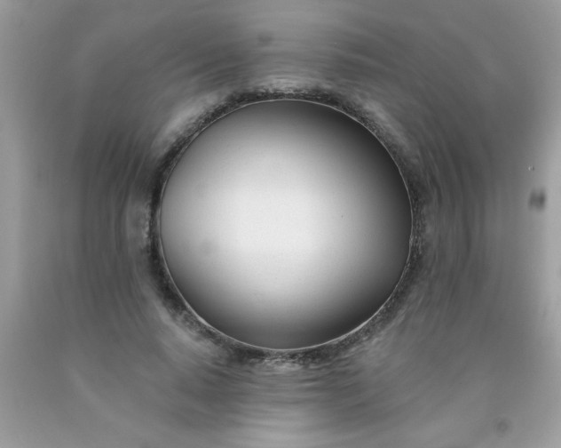 X0000090480640200707272319