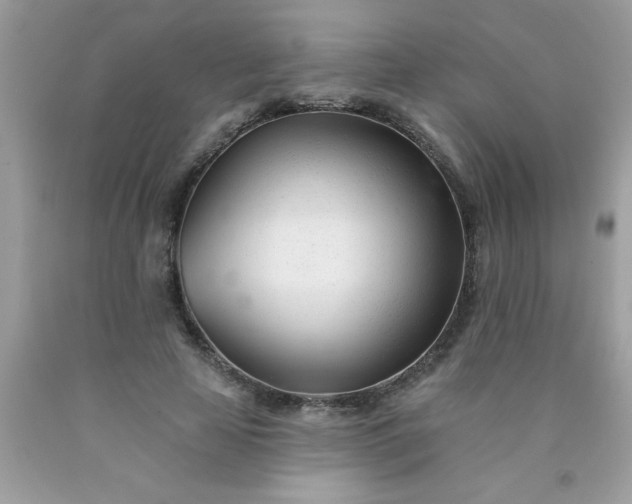 X0000090480641200707272319