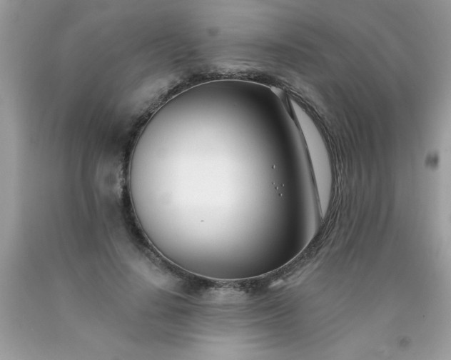 X0000090480644200707272320